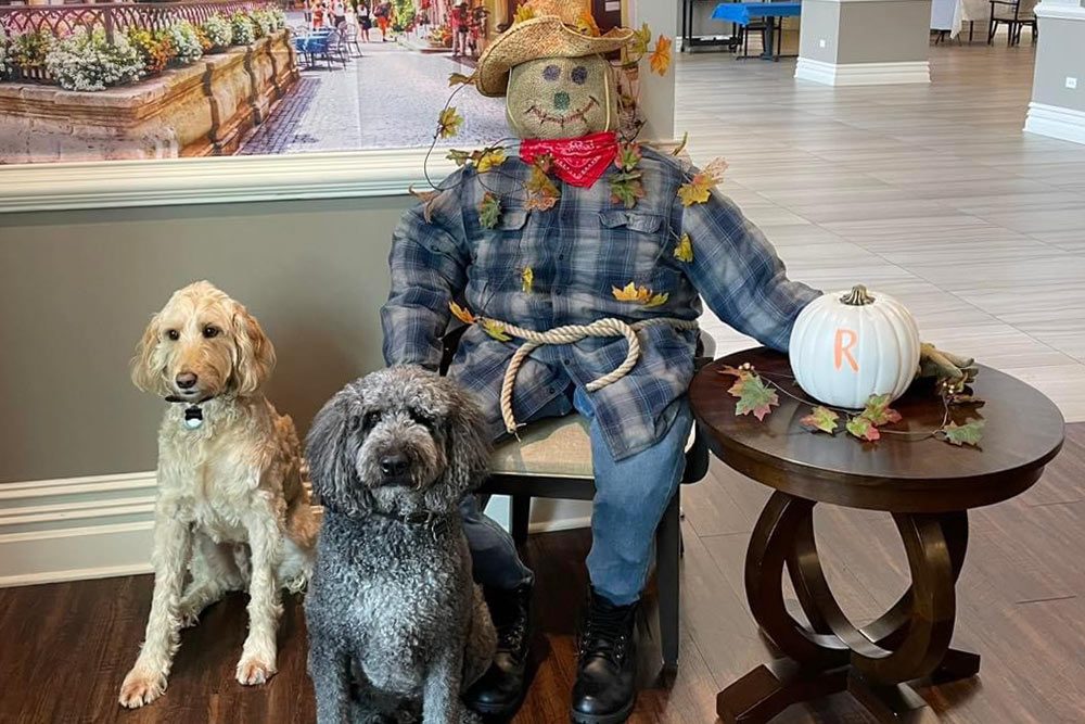 Everyone at The Radcliff loves Henry and Charlie — even our autumn scarecrow!